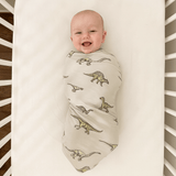 Legendary Swaddle Aaria Tees