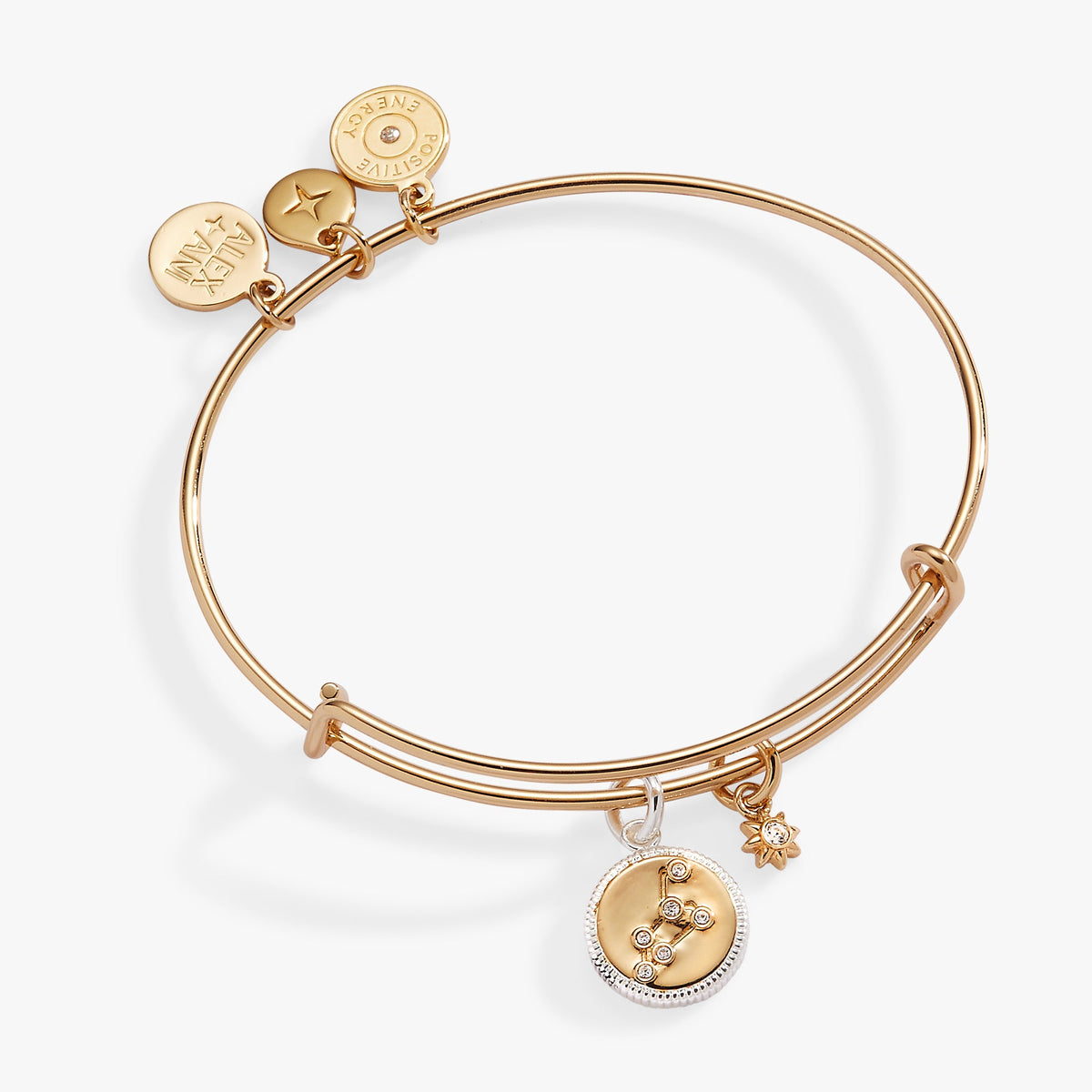 Leo Zodiac Charm Bangle - Aaria Tees