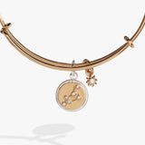 Leo Zodiac Charm Bangle - Aaria Tees Aaria Tees