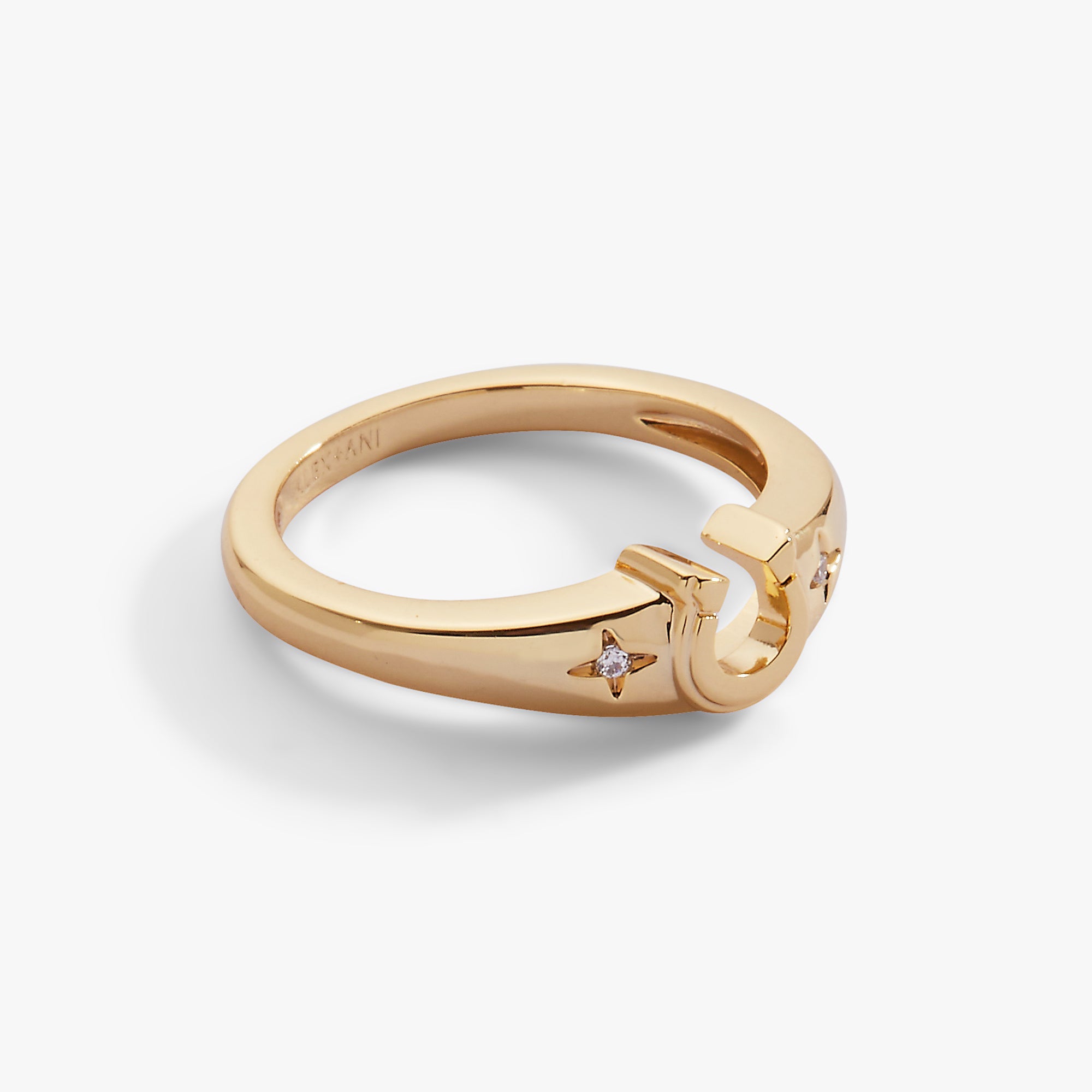 Lucky Horseshoe Ring - Aaria Tees Aaria Tees