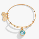 March Birthstone Charm Bangle, Aquamarine - Aaria Tees Aaria Tees