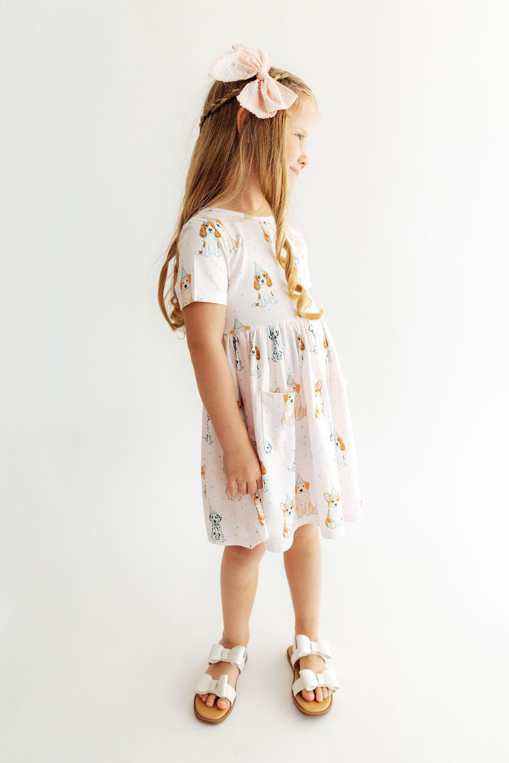 Party Pups S/S Pocket Twirl Dress - Aaria Tees Aaria Tees