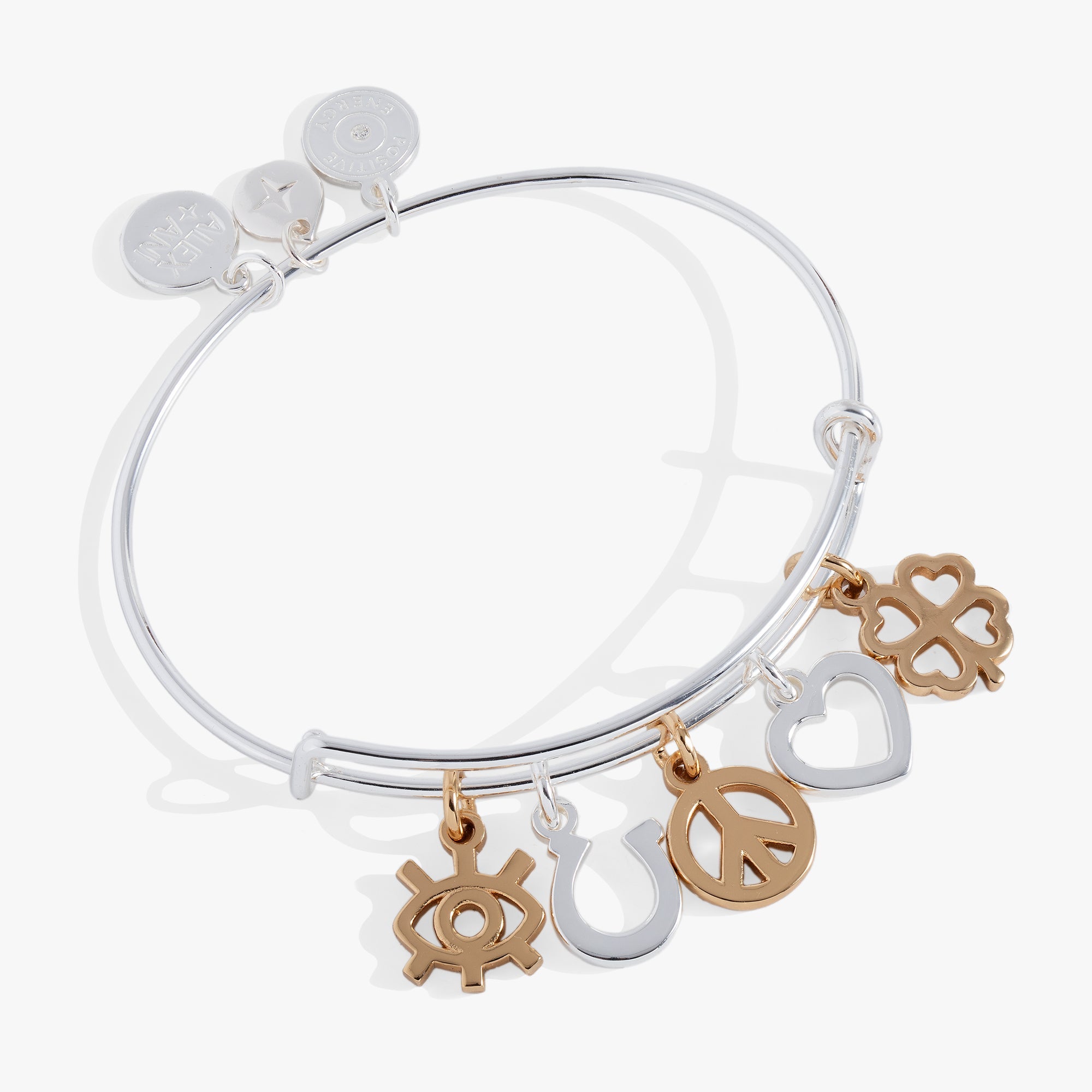Mixed Symbol Multi-Charm Bangle - Aaria Tees Aaria Tees