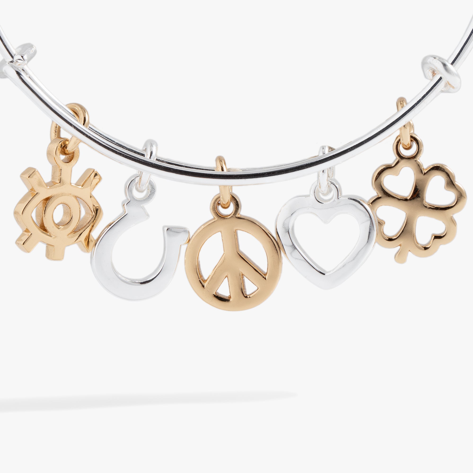 Mixed Symbol Multi-Charm Bangle - Aaria Tees Aaria Tees