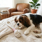 Natural White Tug Rope Toy | Handcrafted Aaria Tees