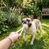 Natural White Tug Rope Toy | Handcrafted Aaria Tees
