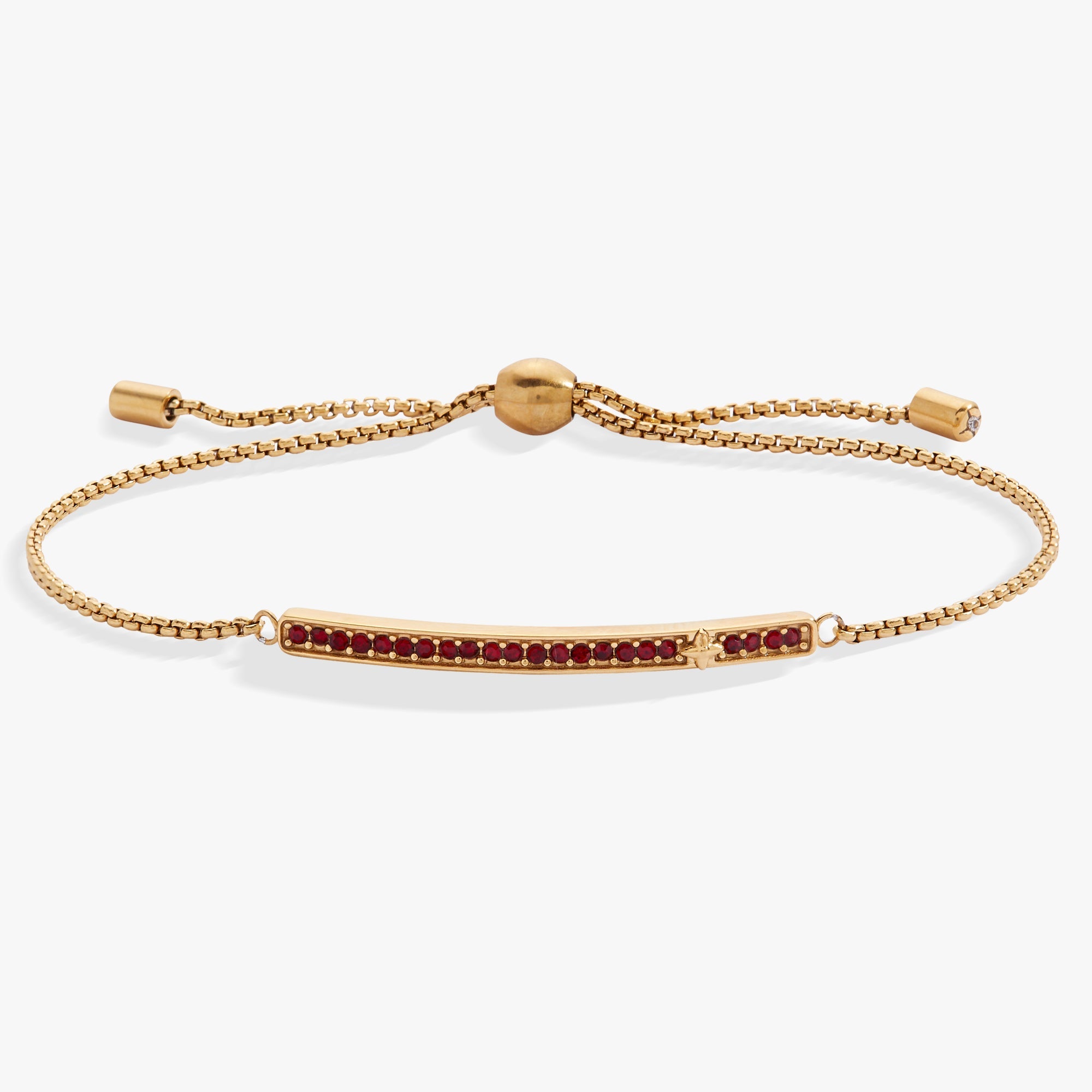 January Everyday Birthstone Pave Bolo Bracelet - Aaria Tees Aaria Tees