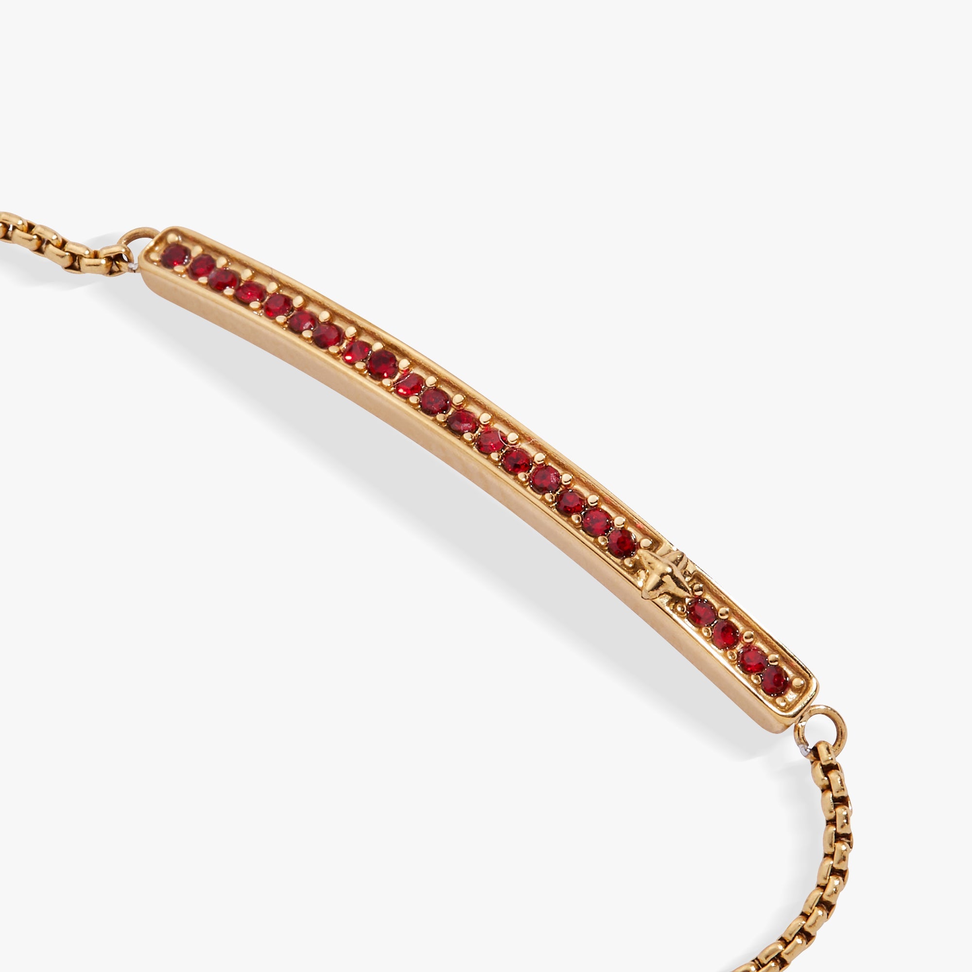 January Everyday Birthstone Pave Bolo Bracelet - Aaria Tees Aaria Tees