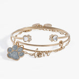 'Paws of Love' Bracelet Set of 3 - Aaria Tees Aaria Tees