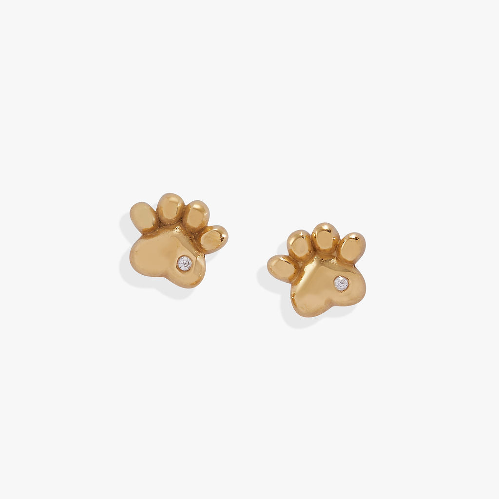 Crystal Paw Mini Stud Earrings - Aaria Tees Aaria Tees