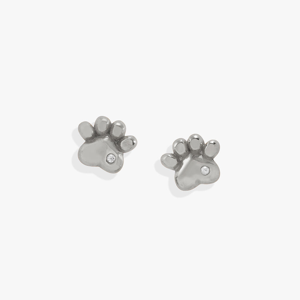 Paw Print Mini Stud Earrings - Aaria Tees Aaria Tees