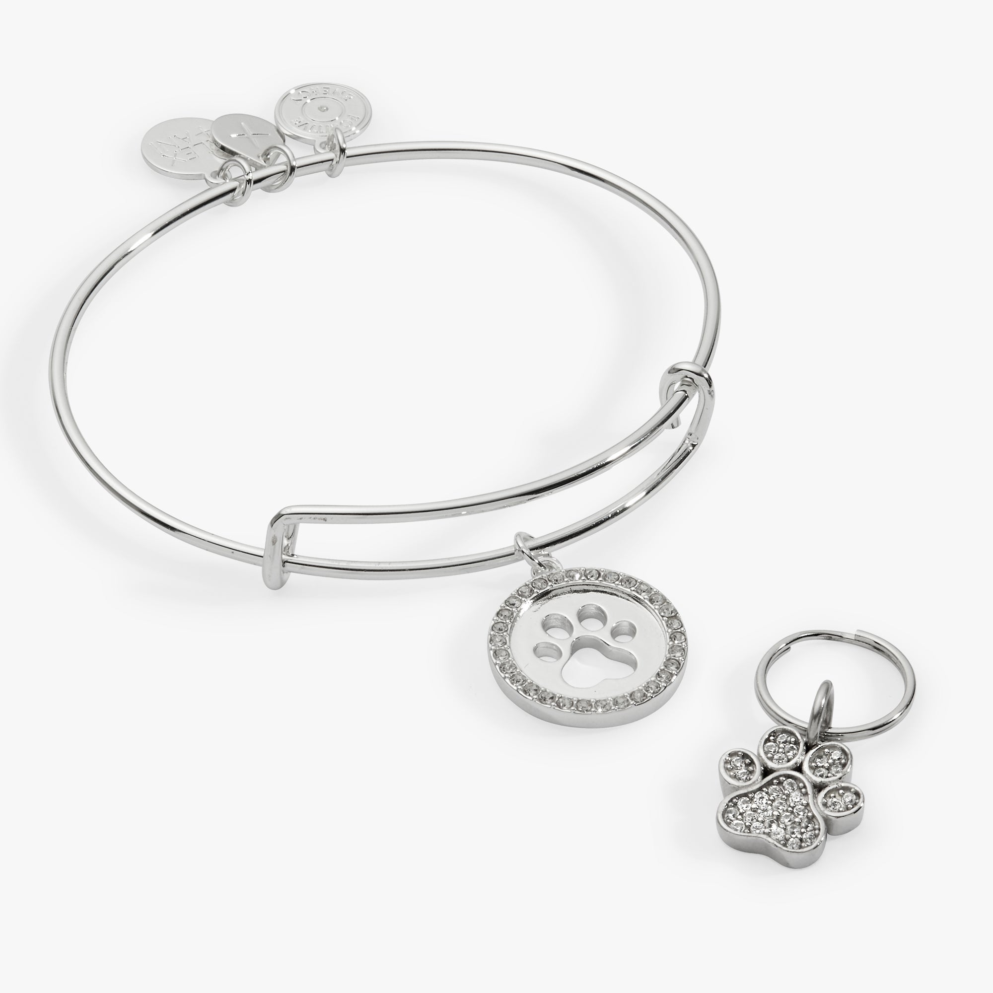 Paw Print Bangle & Pet Collar Charm Set of 2 - Aaria Tees Aaria Tees
