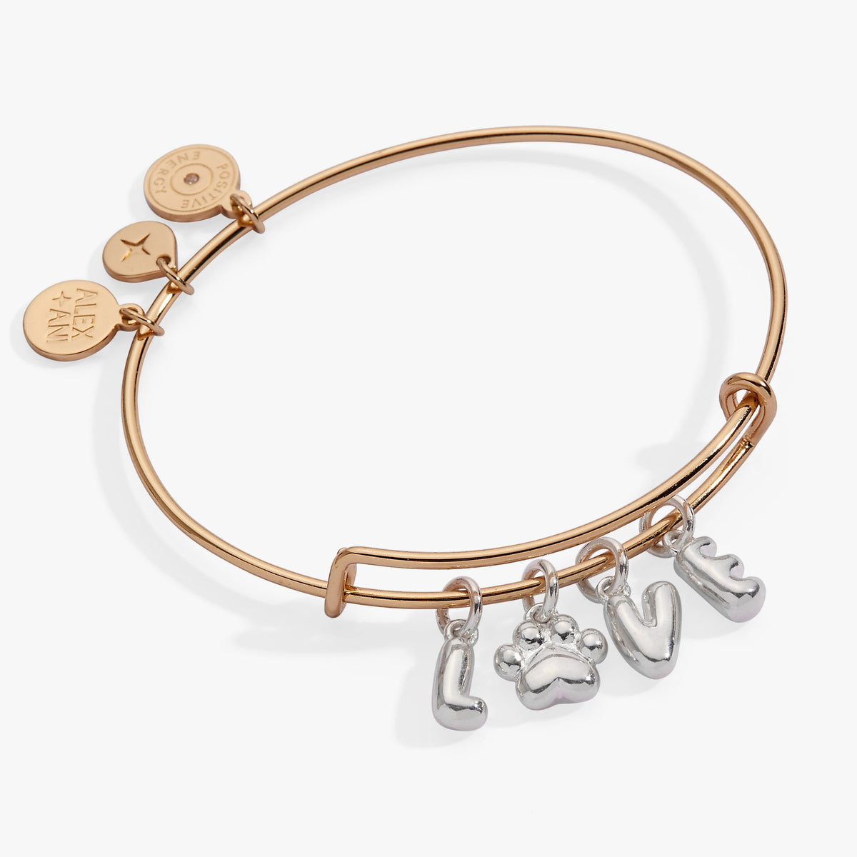Pet Love Multi Charm Bangle - Aaria Tees
