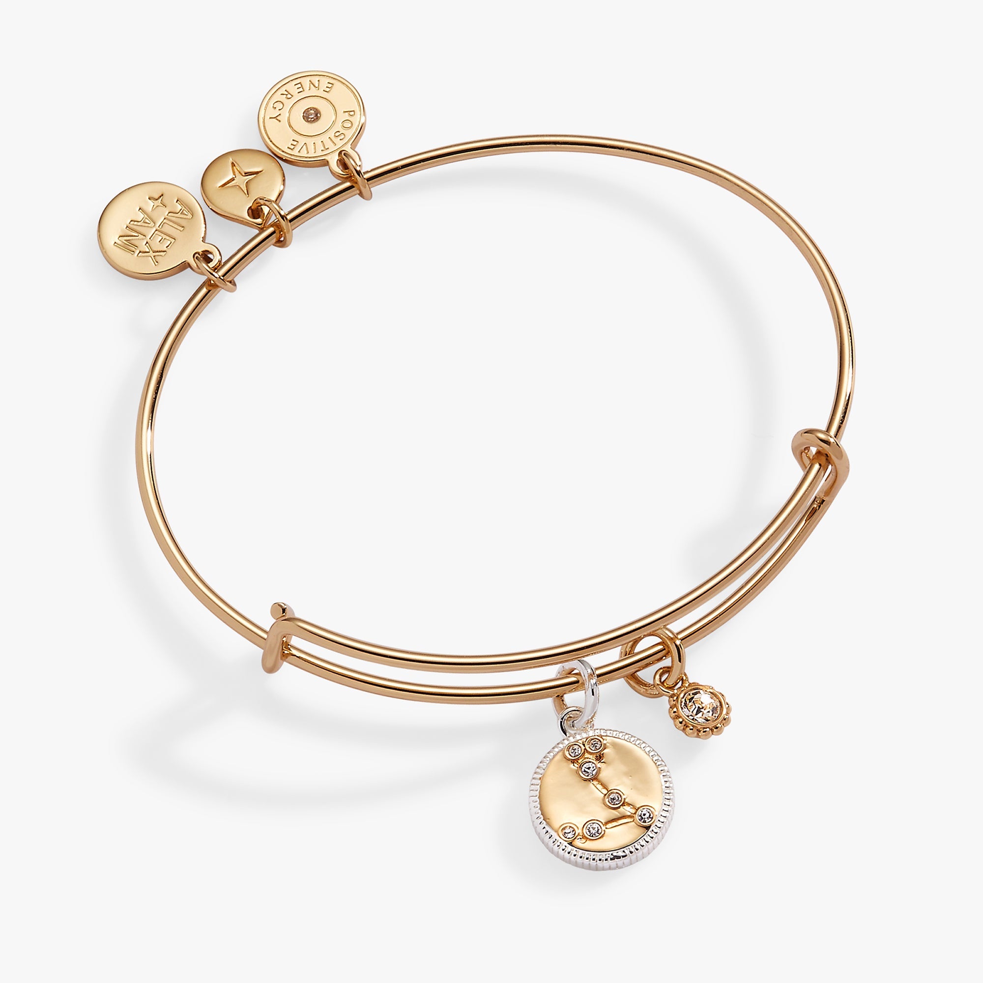 Pisces Zodiac Charm Bangle - Aaria Tees Aaria Tees