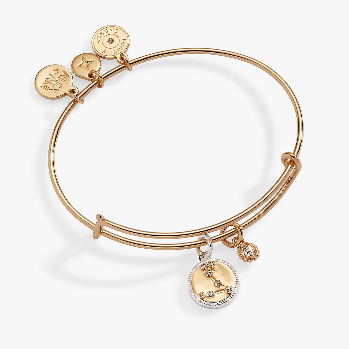Pisces Zodiac Charm Bangle - Aaria Tees