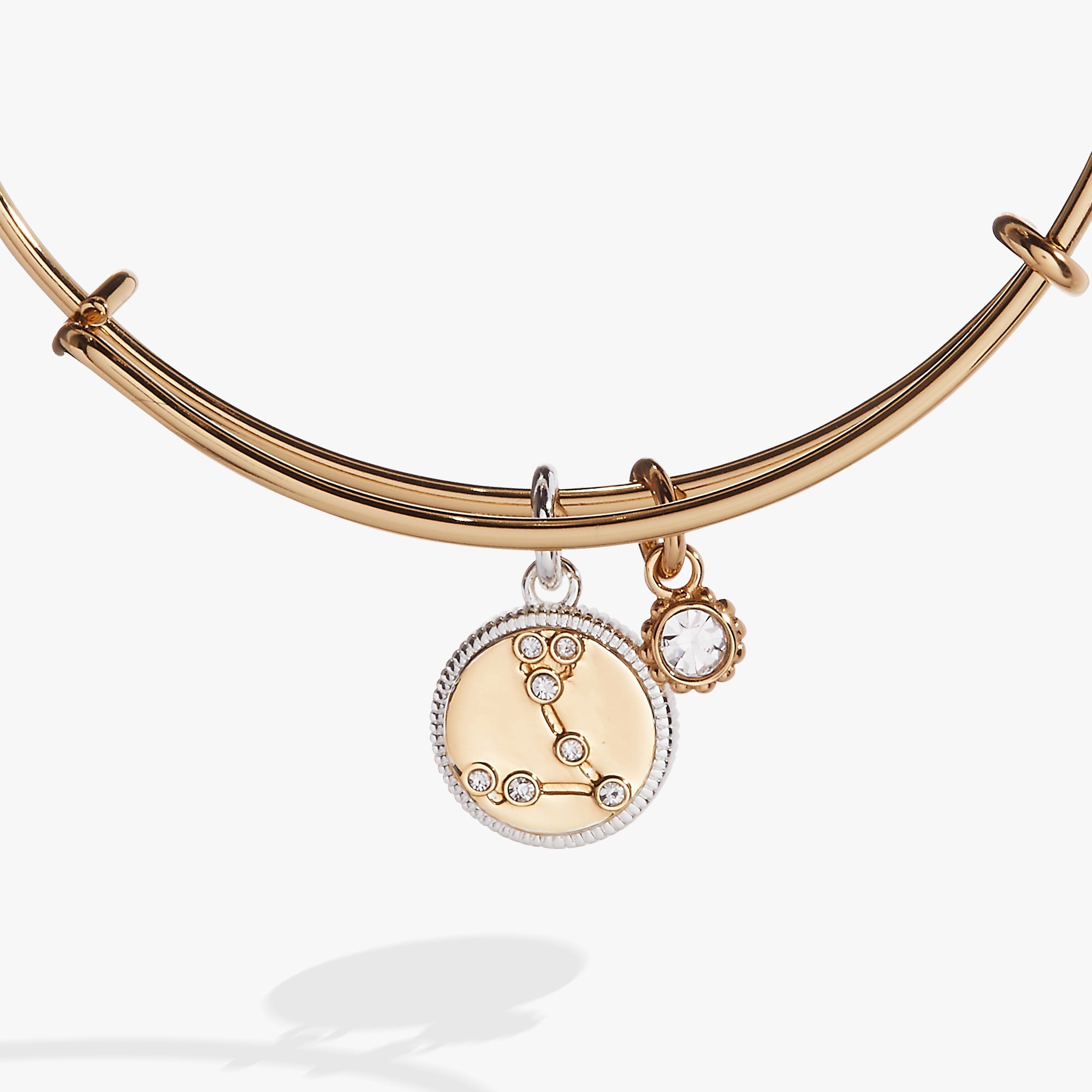 Pisces Zodiac Charm Bangle - Aaria Tees Aaria Tees