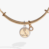 Pisces Zodiac Charm Bangle - Aaria Tees Aaria Tees