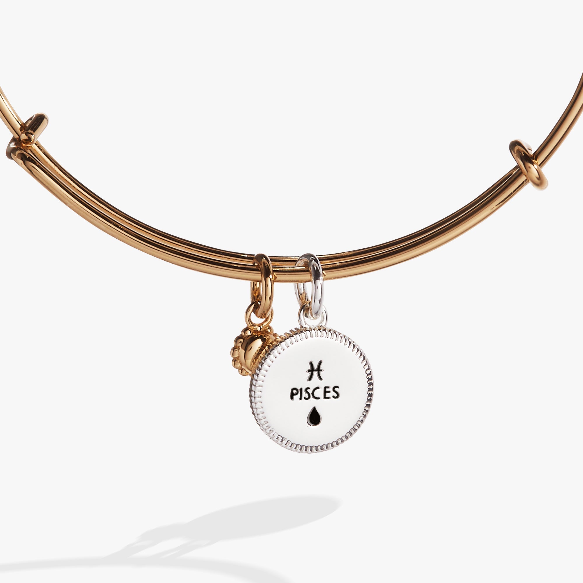 Pisces Zodiac Charm Bangle - Aaria Tees Aaria Tees