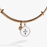 Pisces Zodiac Charm Bangle - Aaria Tees Aaria Tees