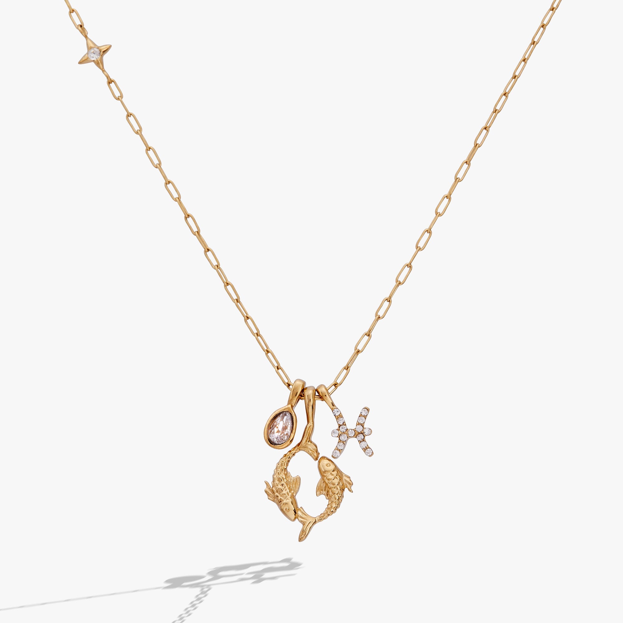 Pisces Zodiac Charm Cluster Necklace - Aaria Tees Aaria Tees