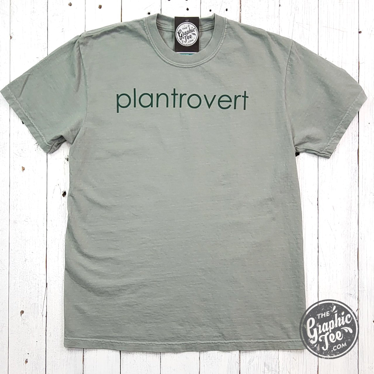 Plantrovert Round Pigment Dyed Tee - Aaria Tees Aaria Tees