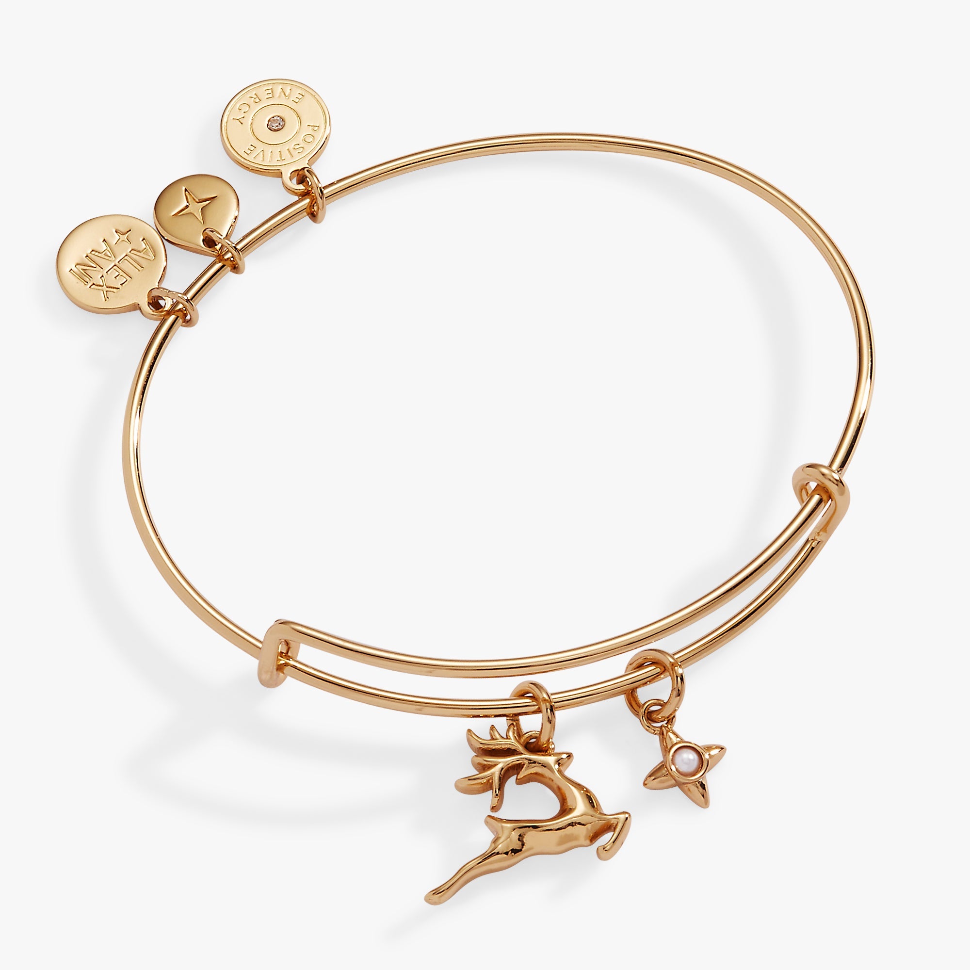 Holiday Reindeer Bangle - Aaria Tees Aaria Tees