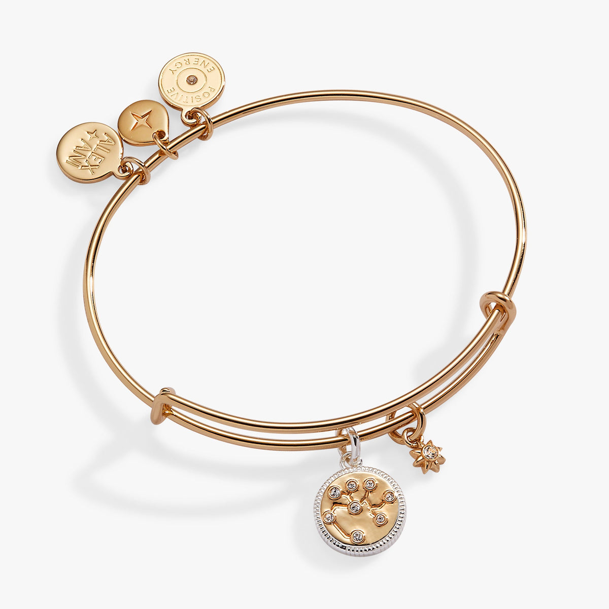 Sagittarius Zodiac Charm Bangle - Aaria Tees