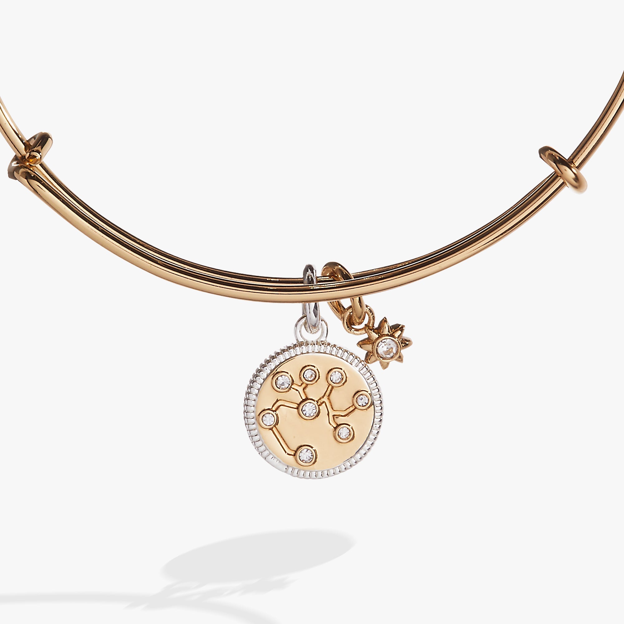 Sagittarius Zodiac Charm Bangle - Aaria Tees Aaria Tees
