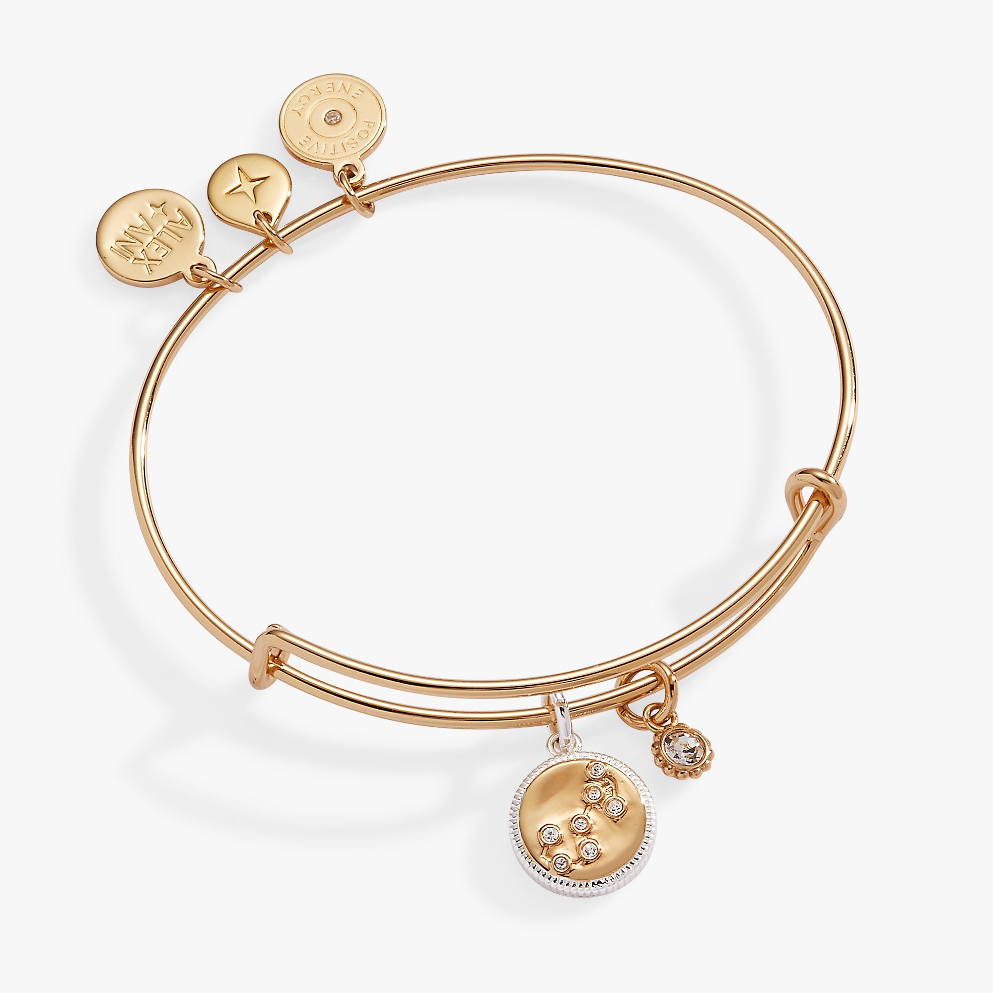 Scorpio Zodiac Charm Bangle - Aaria Tees Aaria Tees