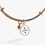 Scorpio Zodiac Charm Bangle - Aaria Tees Aaria Tees