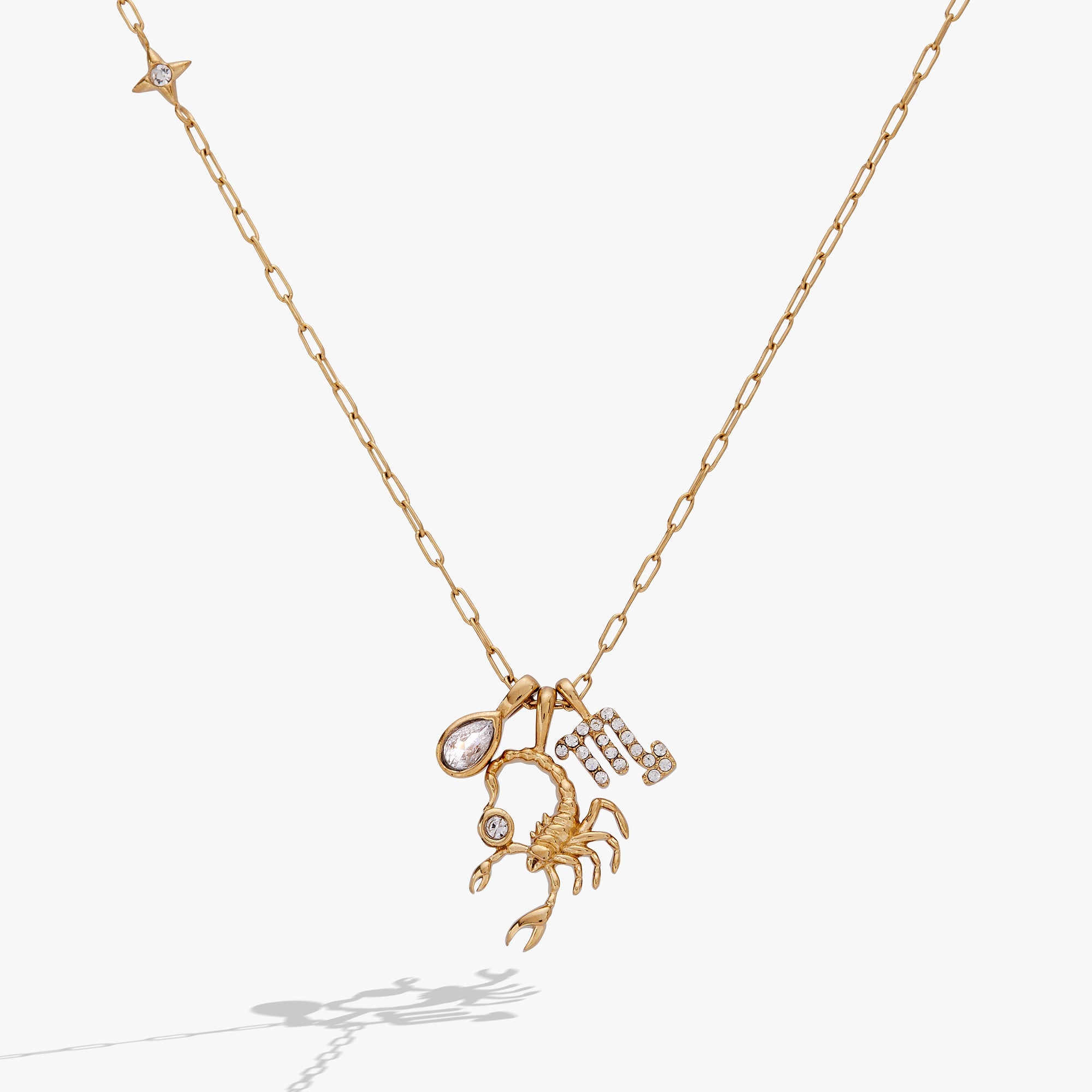 Scorpio Zodiac Charm Cluster Necklace - Aaria Tees Aaria Tees