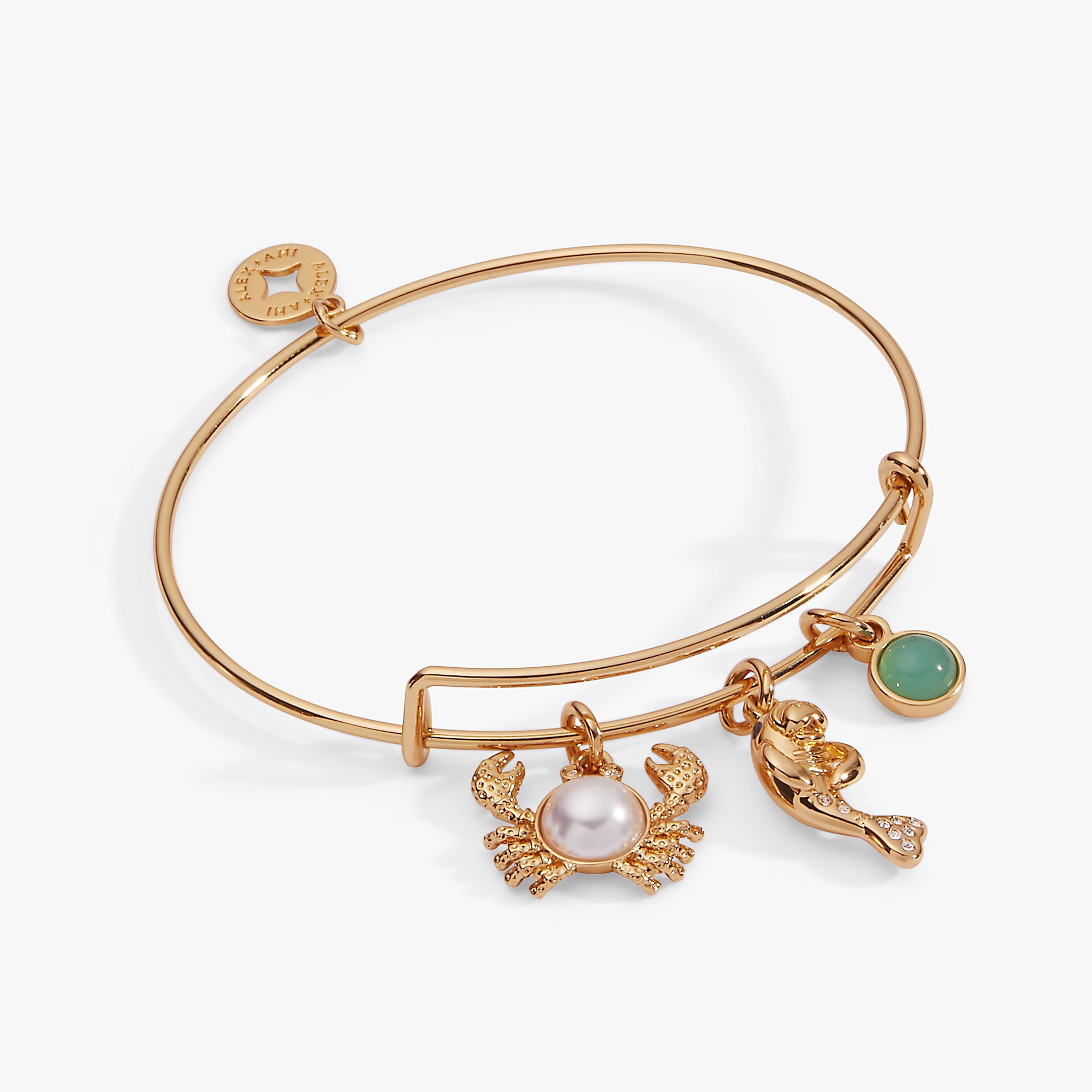Sea Creature Multi Charm Bangle - Aaria Tees Aaria Tees