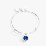 September Birthstone Charm Bangle, Sapphire - Aaria Tees Aaria Tees