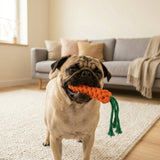 Palatable Carrot Rope Toys Aaria Tees