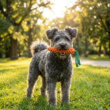 Palatable Carrot Rope Toys Aaria Tees