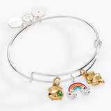 End of the Rainbow Multi-Charm Bangle - Aaria Tees Aaria Tees