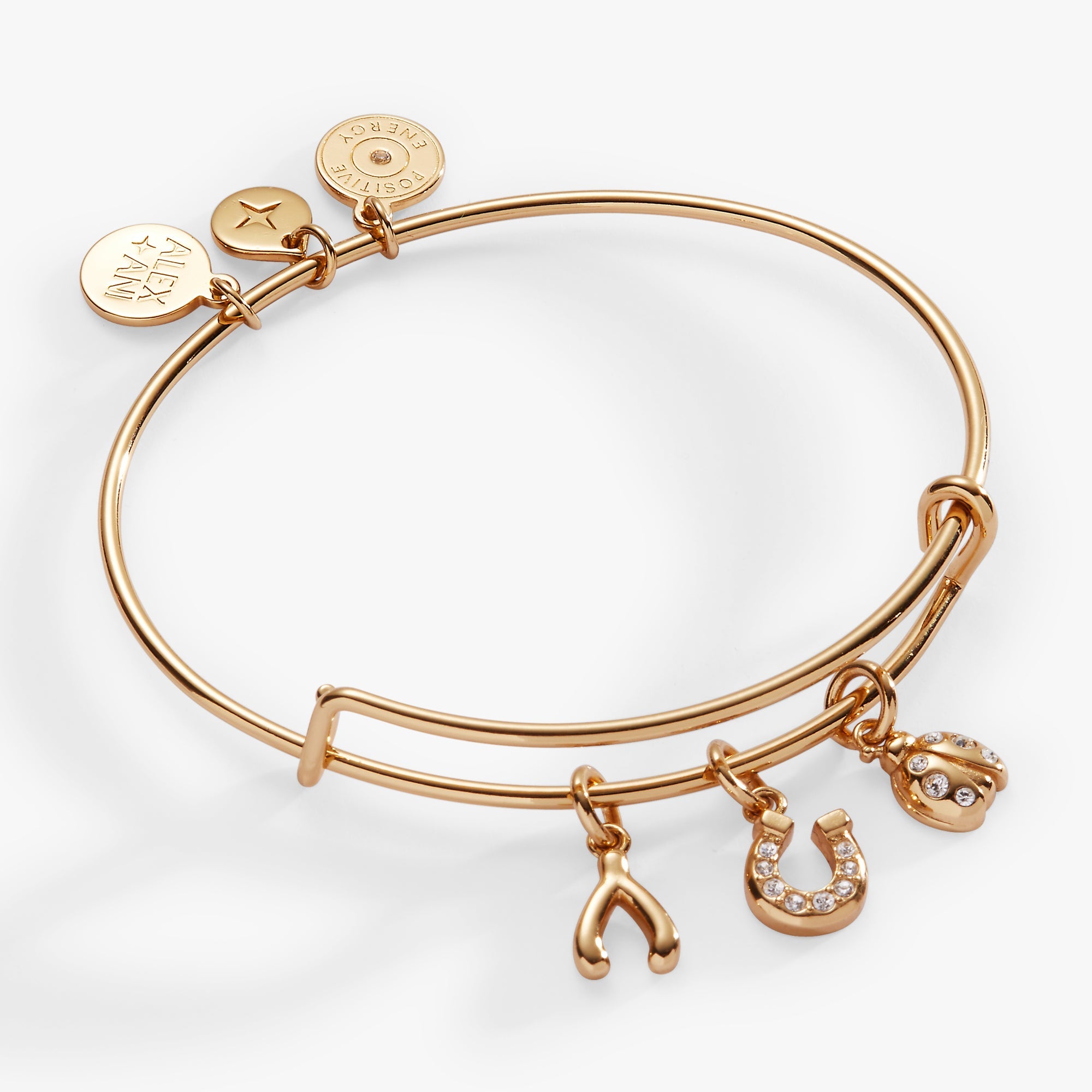 Love and Luck Multi-Charm Bangle - Aaria Tees Aaria Tees