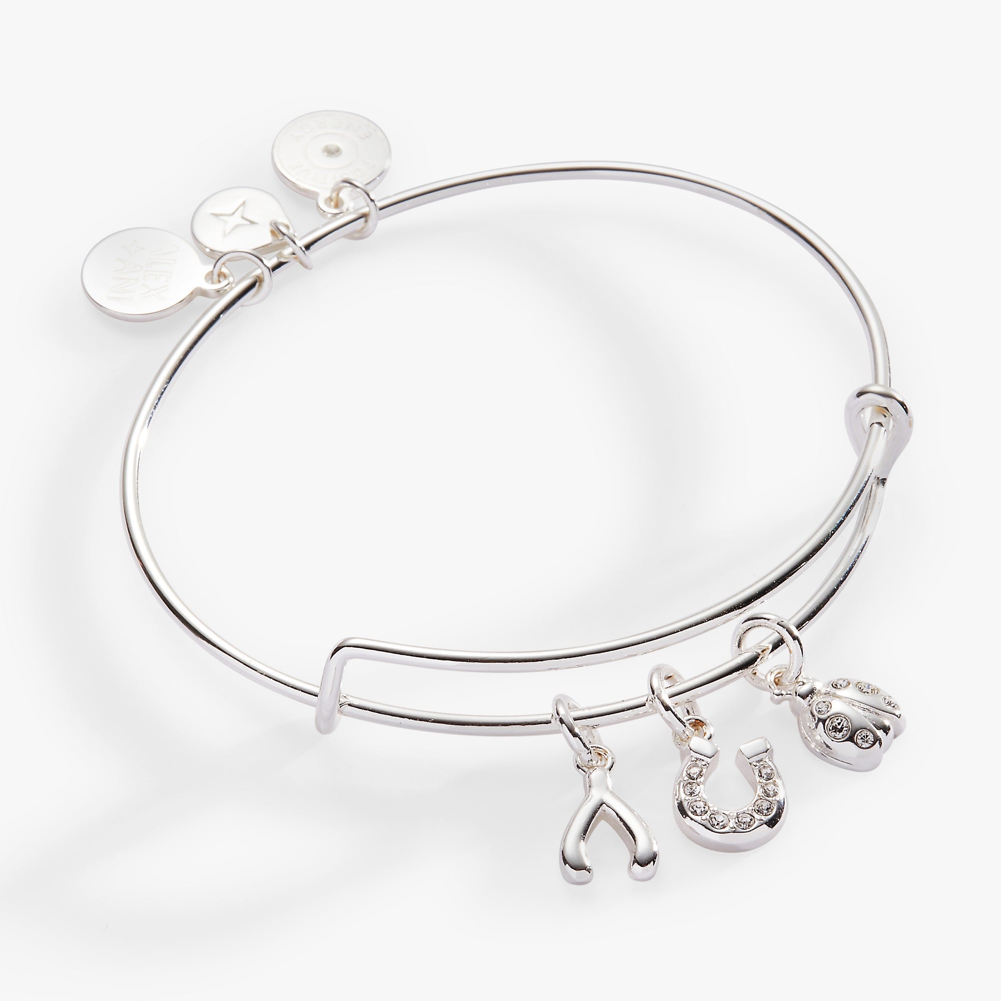 Love and Luck Multi-Charm Bangle - Aaria Tees Aaria Tees