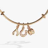 Love and Luck Multi-Charm Bangle - Aaria Tees Aaria Tees