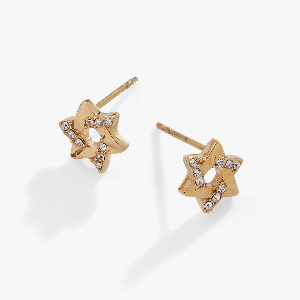 Star of David Mini Stud Earrings - Aaria Tees Aaria Tees