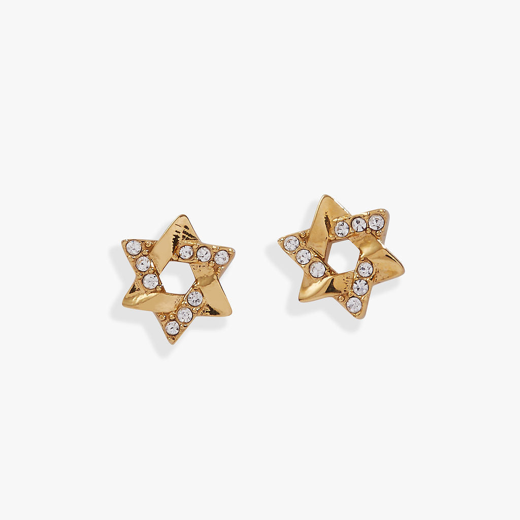 Star of David Mini Stud Earrings - Aaria Tees