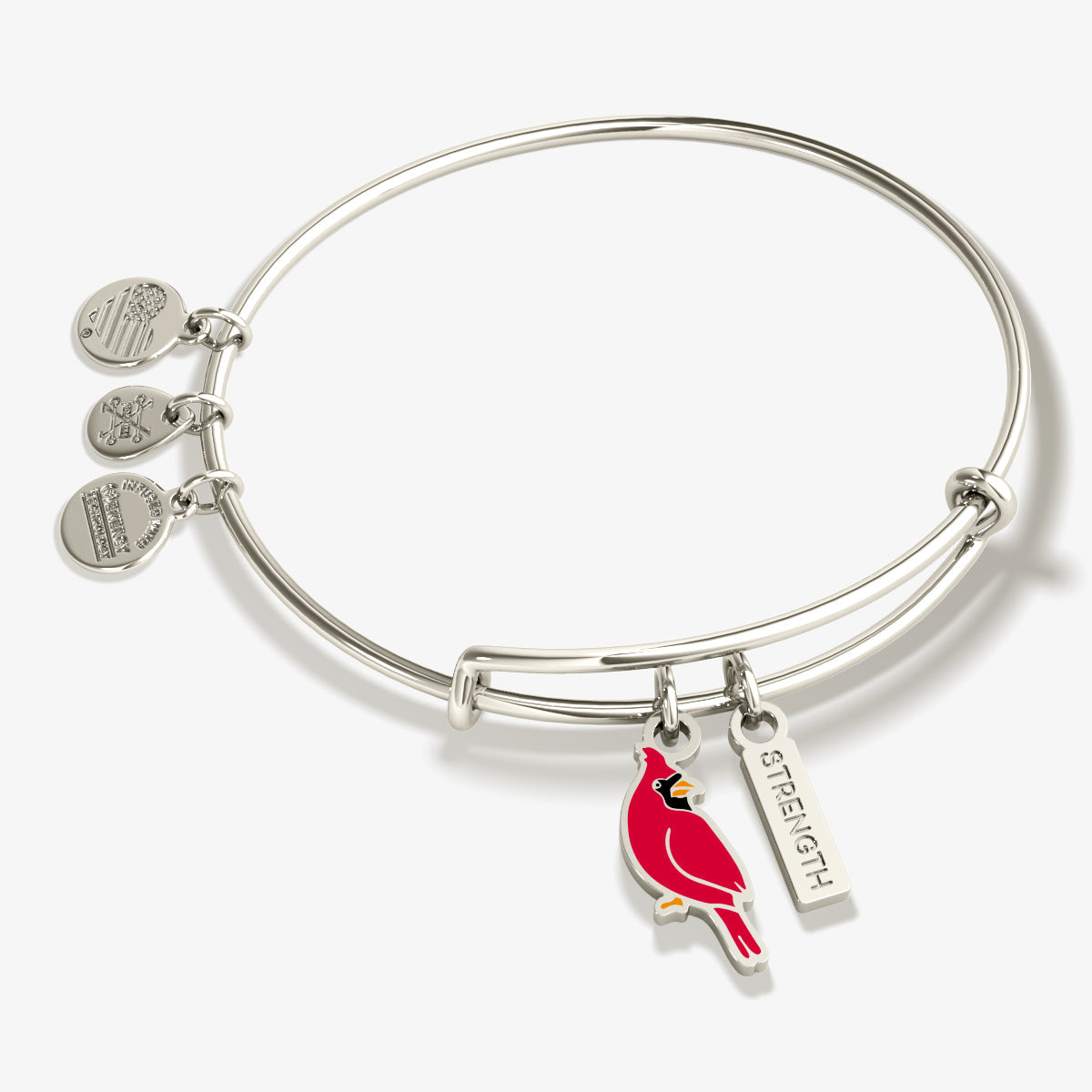 'Strength' Cardinal Duo Charm Bangle Bracelet - Aaria Tees