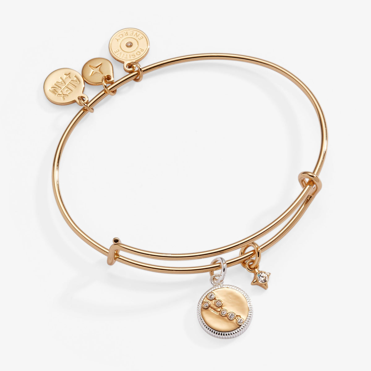 Taurus Zodiac Charm Bangle - Aaria Tees