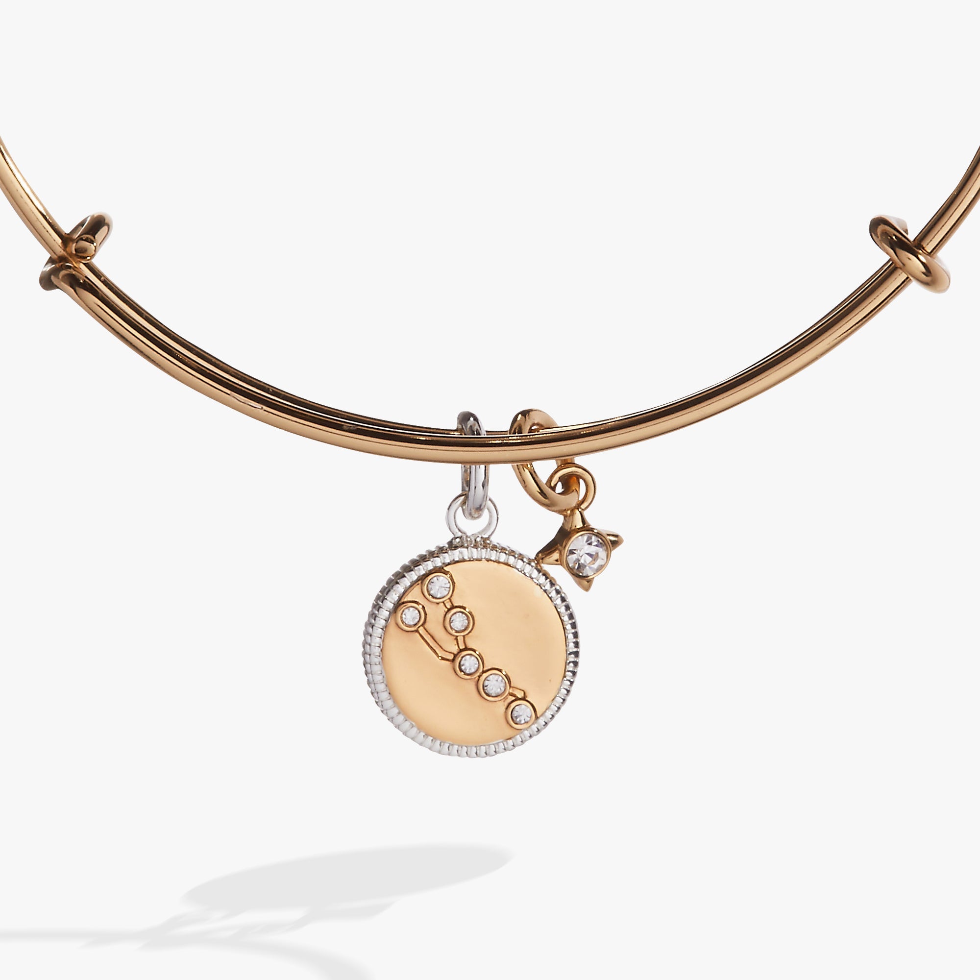 Taurus Zodiac Charm Bangle - Aaria Tees Aaria Tees