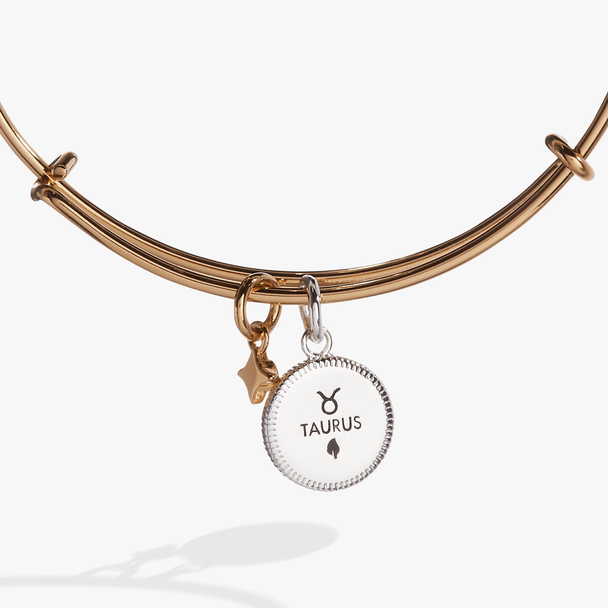 Taurus Zodiac Charm Bangle - Aaria Tees Aaria Tees