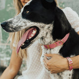 The Sparkling Pink Friendship Collar & Bracelet Set - Aaria Tees Aaria Tees