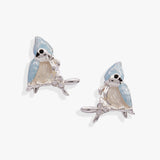 Tufted Titmouse Bird Stud Earrings - Aaria Tees Aaria Tees