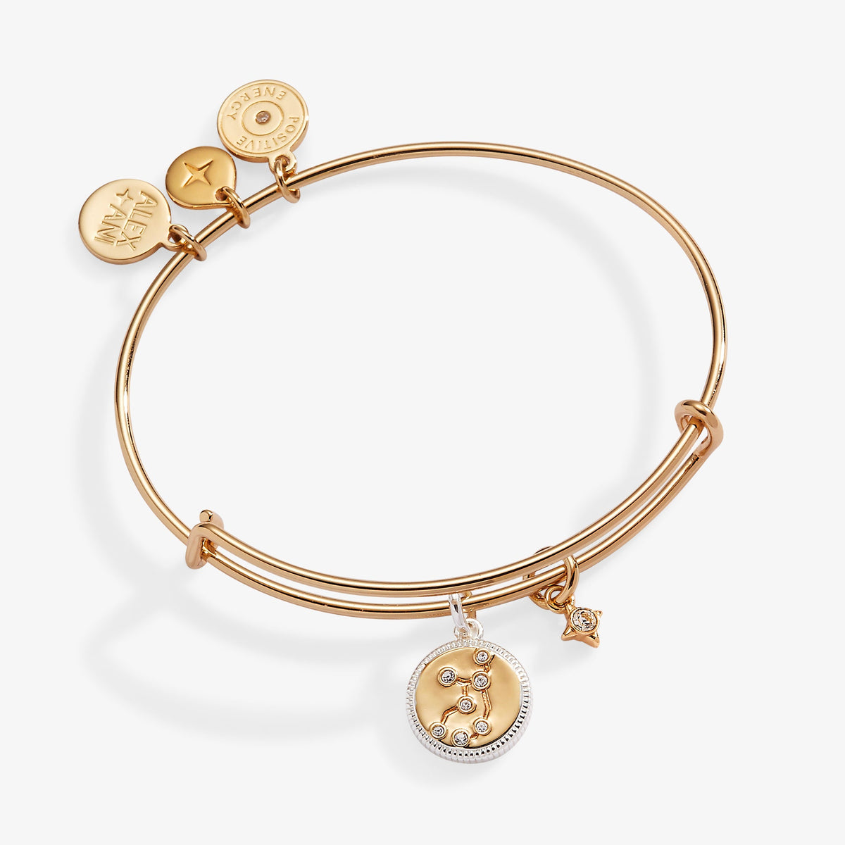 Virgo Zodiac Charm Bangle - Aaria Tees