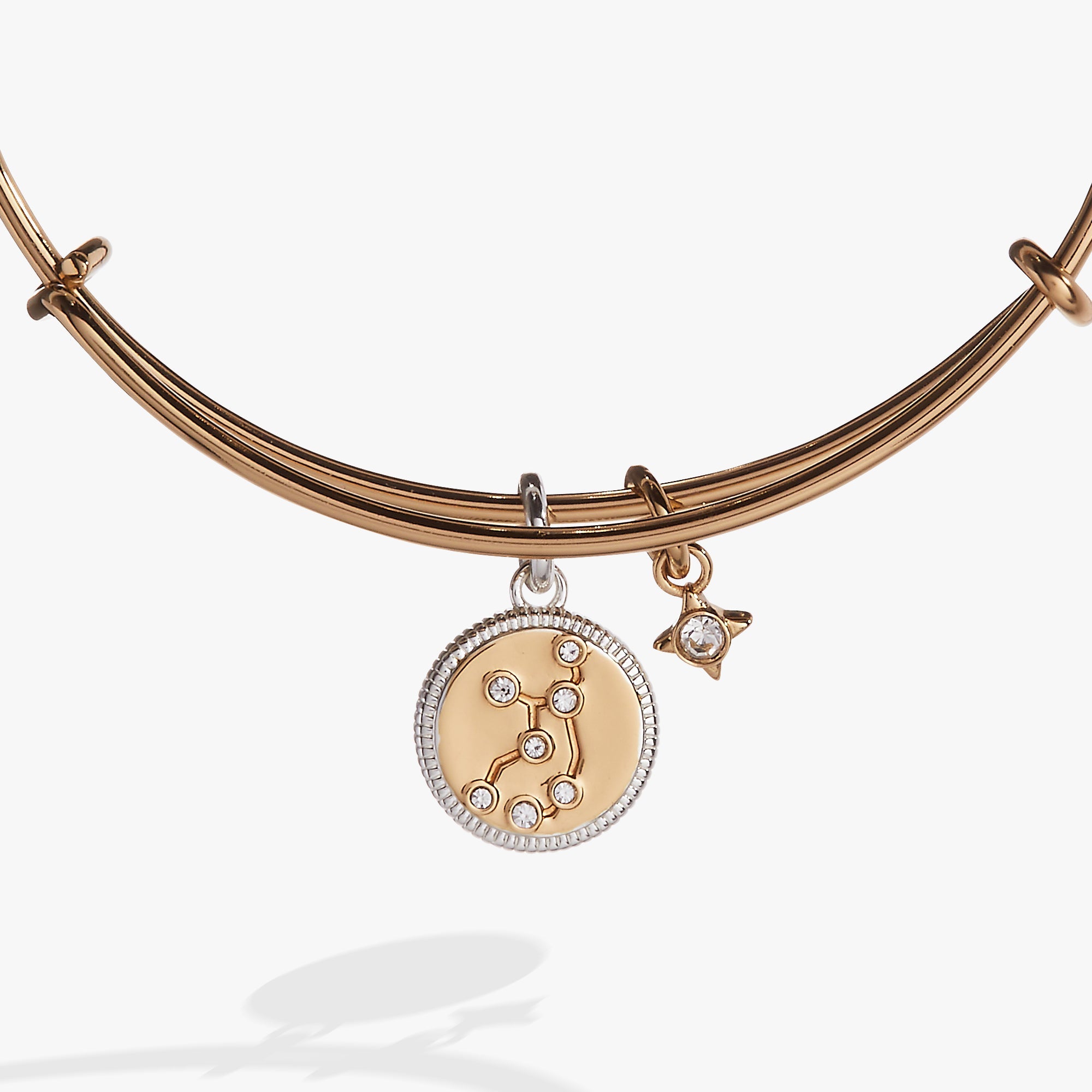 Virgo Zodiac Charm Bangle - Aaria Tees Aaria Tees