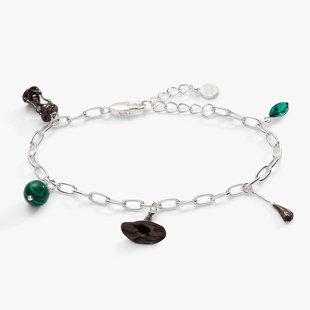 The Wizard of Oz™ Wicked Witch Charm Bracelet - Aaria Tees